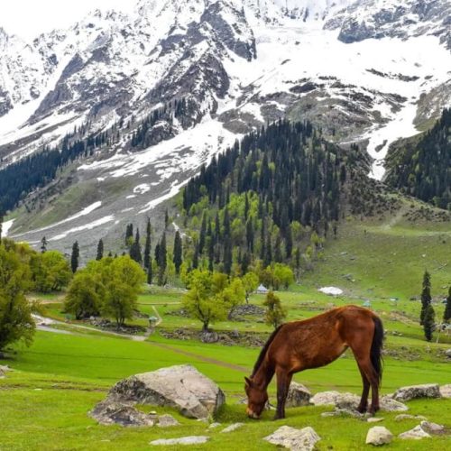 Jammu-Kashmir-in-May-04